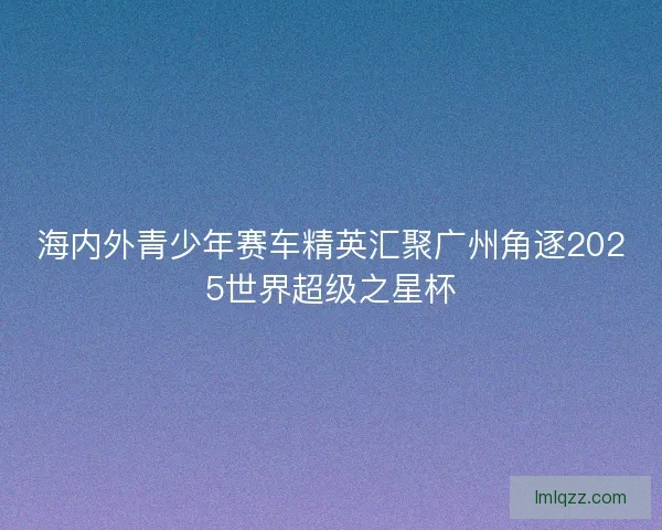 海内外青少年赛车精英汇聚广州角逐2025世界超级之星杯